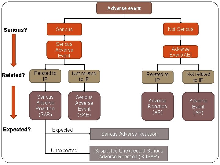 Adverse event Serious? Related? Expected? Serious Not Serious Adverse Event(AE) Related to IP Not