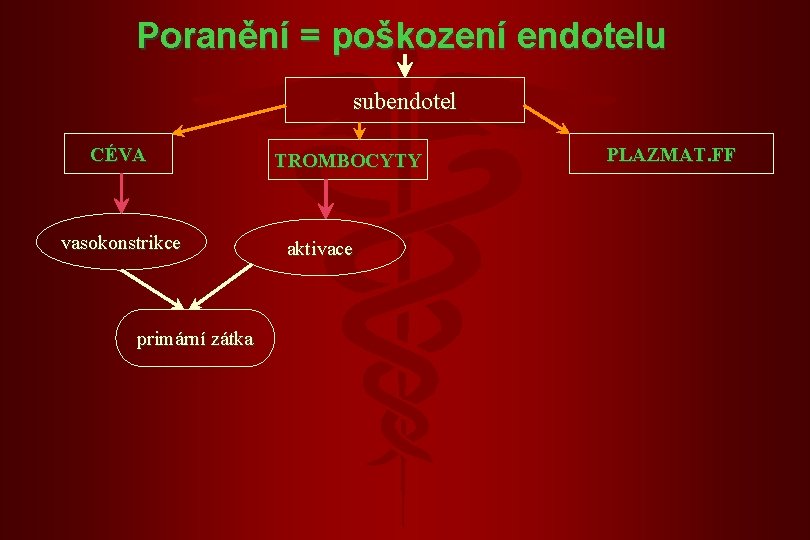 Poranění = poškození endotelu subendotel CÉVA vasokonstrikce primární zátka TROMBOCYTY aktivace PLAZMAT. FF 