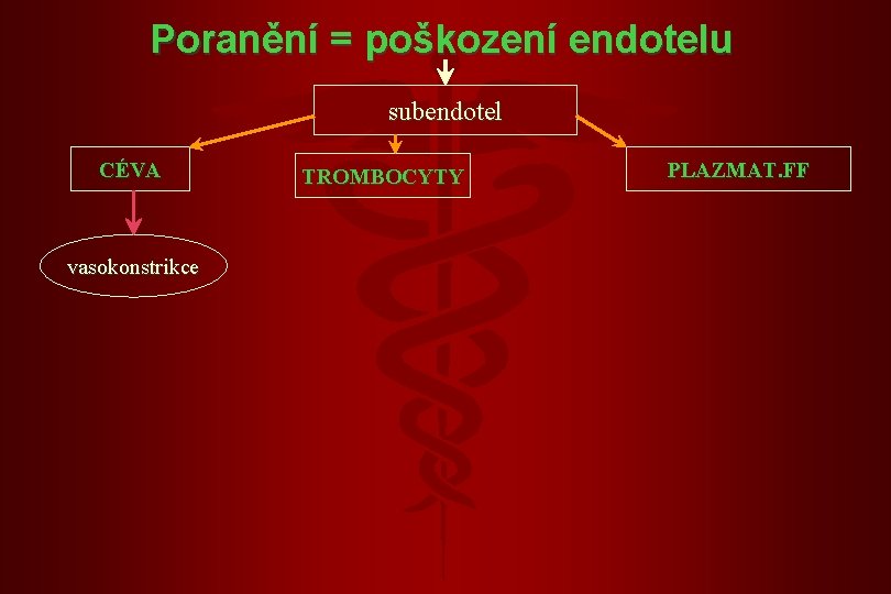 Poranění = poškození endotelu subendotel CÉVA vasokonstrikce TROMBOCYTY PLAZMAT. FF Poranění = poškození endotelu subendotel CÉVA vasokonstrikce TROMBOCYTY PLAZMAT. FF