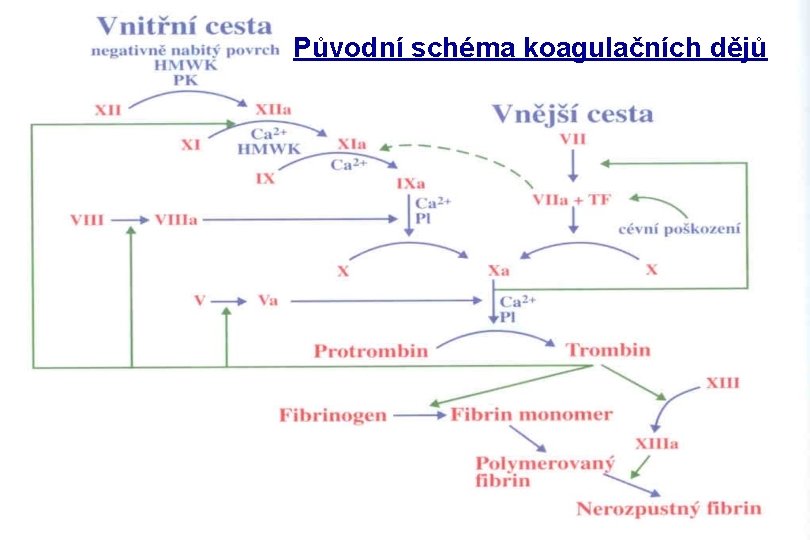 Původní schéma koagulačních dějů 