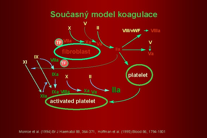 Současný model koagulace X TF VIIa V II Xa VIIa XI IXa XIa VIIIa Současný model koagulace X TF VIIa V II Xa VIIa XI IXa XIa VIIIa