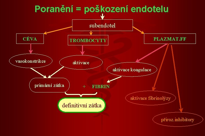 Poranění = poškození endotelu subendotel CÉVA PLAZMAT. FF TROMBOCYTY vasokonstrikce aktivace koagulace primární zátka