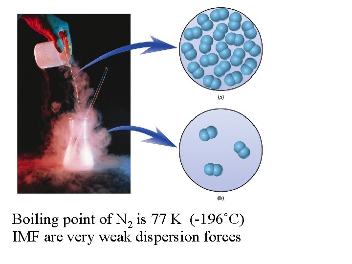 Boiling point of N 2 is 77 K (-196˚C) IMF are very weak dispersion