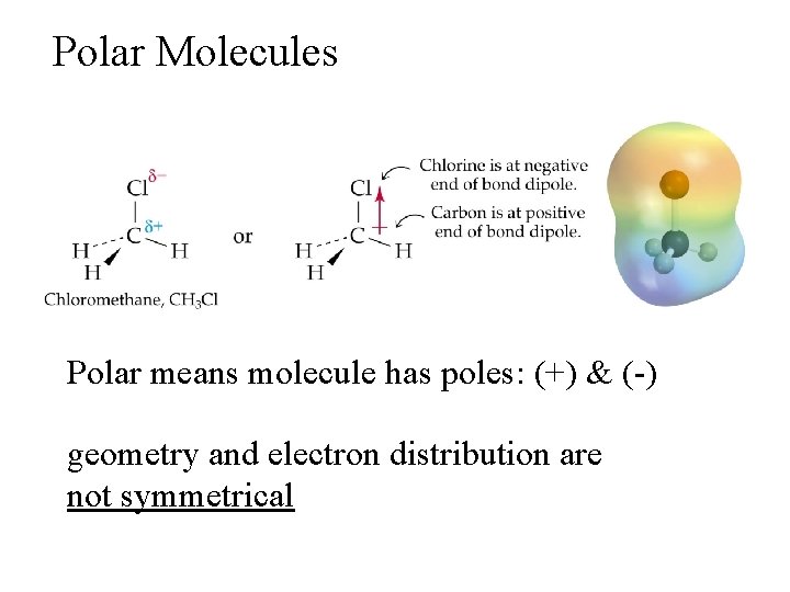 Polar Molecules Polar means molecule has poles: (+) & (-) geometry and electron distribution