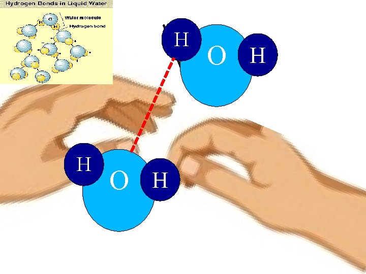 H H O H H-Bonding = strongest IMF much harder to “pull” molecules apart