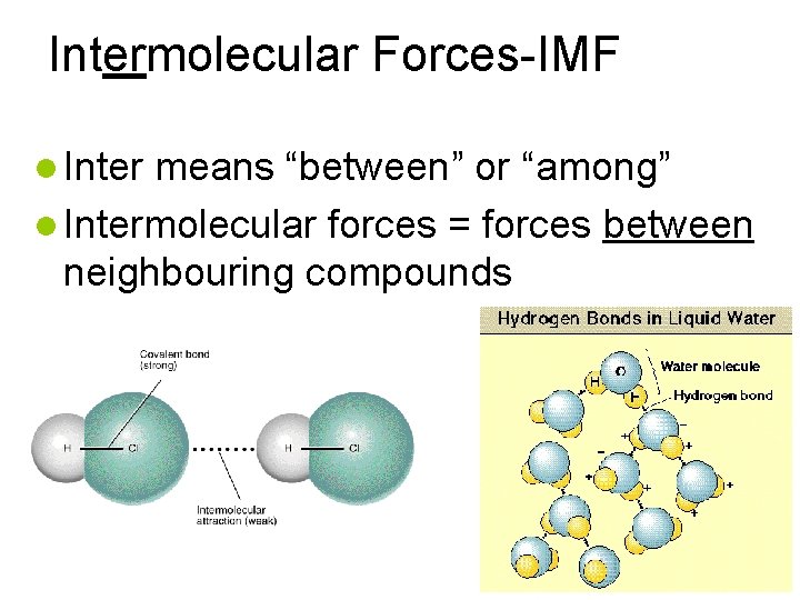Intermolecular Forces-IMF Inter means “between” or “among” Intermolecular forces = forces between neighbouring compounds