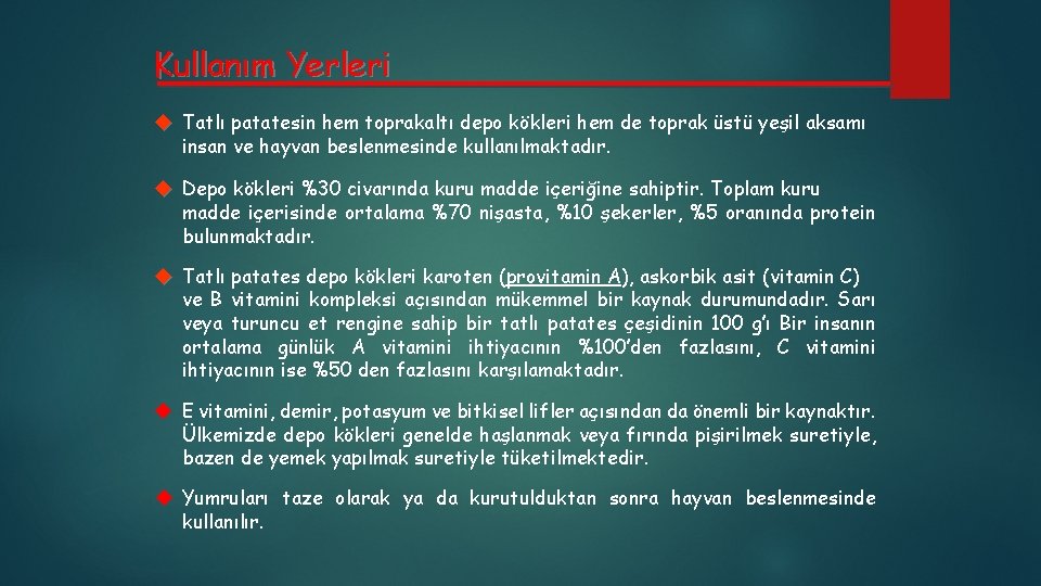 Kullanım Yerleri Tatlı patatesin hem toprakaltı depo kökleri hem de toprak üstü yeşil aksamı
