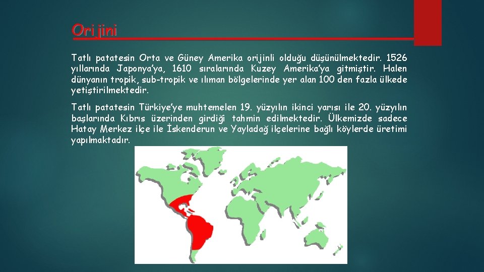 Orijini Tatlı patatesin Orta ve Güney Amerika orijinli olduğu düşünülmektedir. 1526 yıllarında Japonya’ya, 1610