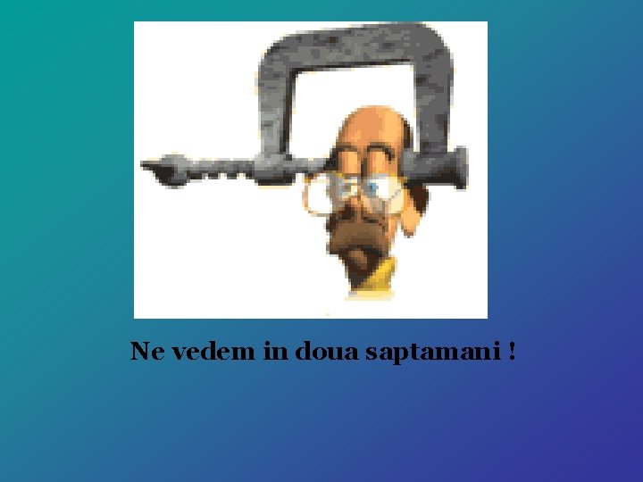 Ne vedem in doua saptamani ! 