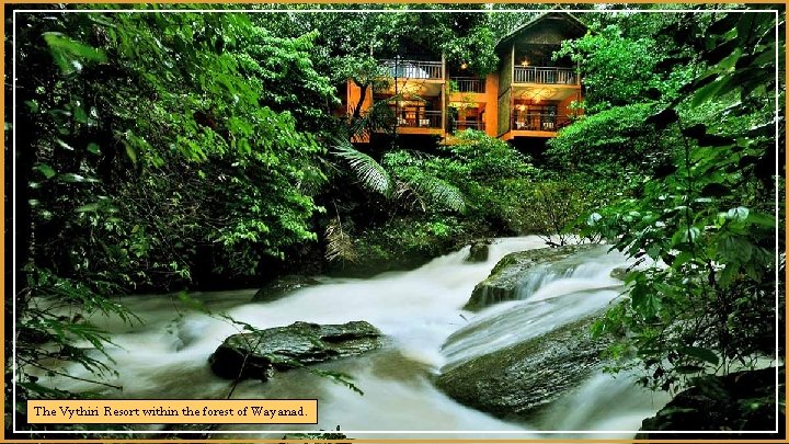 The Vythiri Resort within the forest of Wayanad. 