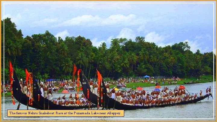 The famous Nehru Snakeboat Race at the Punamada Lake near Alleppey. 