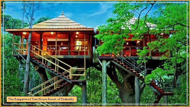 The Rangerwood Tree House Resort of Thekaddy 