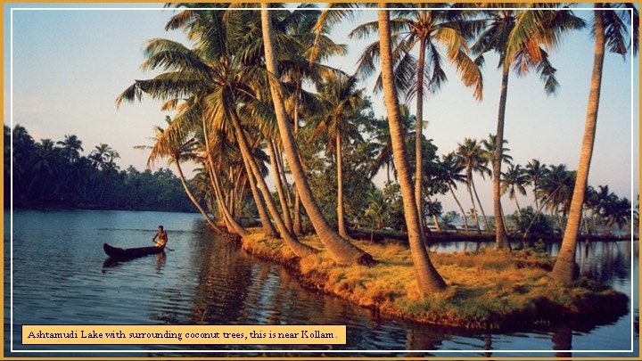 Ashtamudi Lake with surrounding coconut trees, this is near Kollam. 