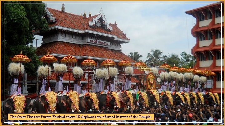 The Great Thrissur Puram Festival where 15 elephants are adorned in front of the