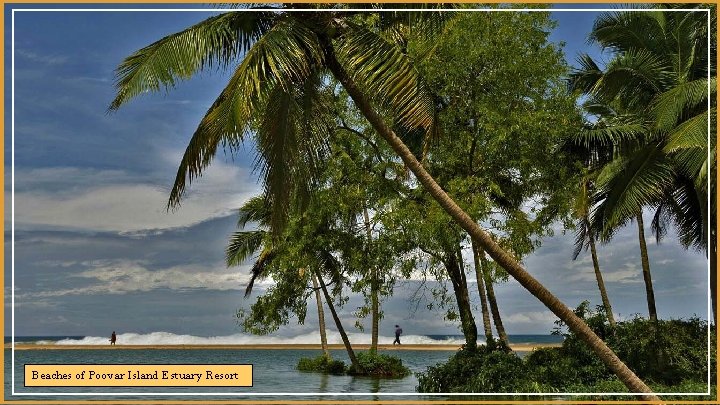 Beaches of Poovar Island Estuary Resort 