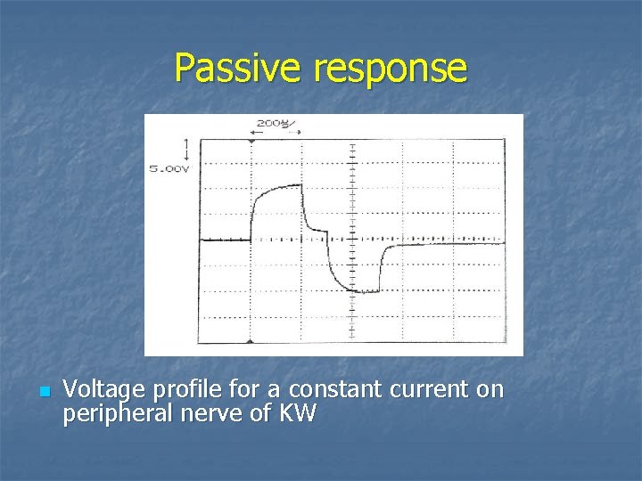 Passive response n Voltage profile for a constant current on peripheral nerve of KW