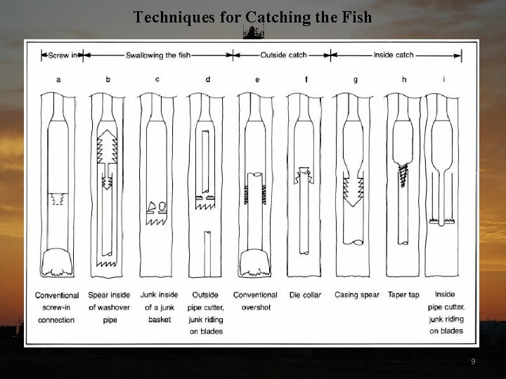 Techniques for Catching the Fish 9 