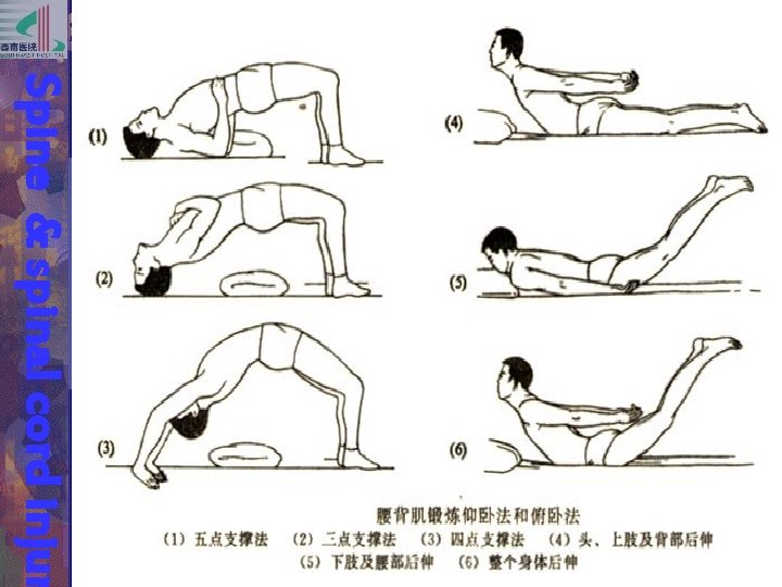 Spine & spinal cord injur 