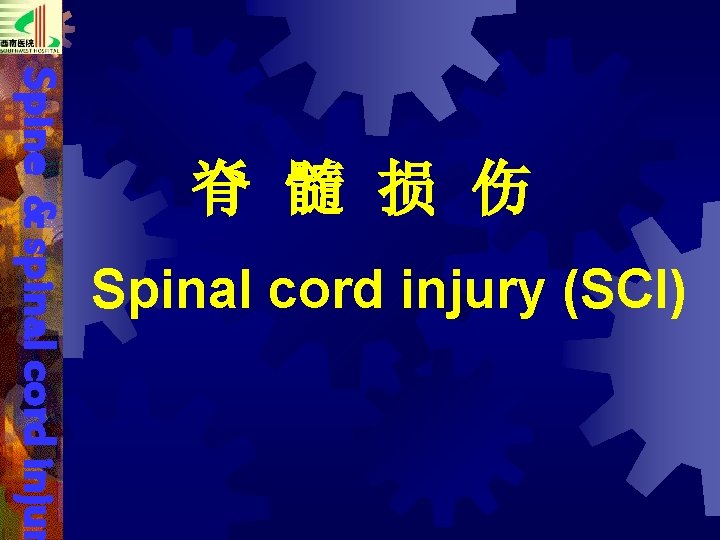 Spine & spinal cord injur 脊 髓 损 伤 Spinal cord injury (SCI) 