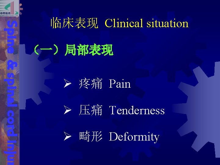 Spine & spinal cord injur 临床表现 Clinical situation （一）局部表现 Ø 疼痛 Pain Ø 压痛