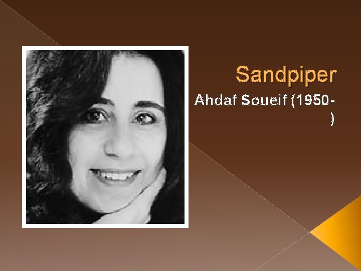 Sandpiper Ahdaf Soueif (1950) 