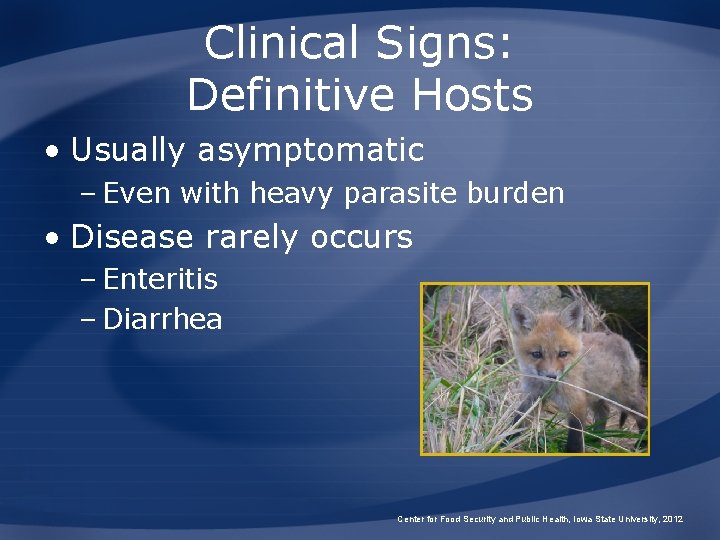 Clinical Signs: Definitive Hosts • Usually asymptomatic – Even with heavy parasite burden •