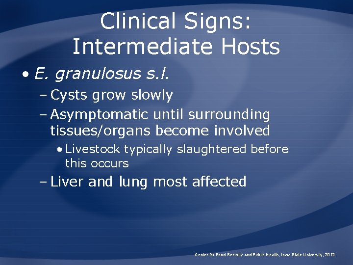 Clinical Signs: Intermediate Hosts • E. granulosus s. l. – Cysts grow slowly –