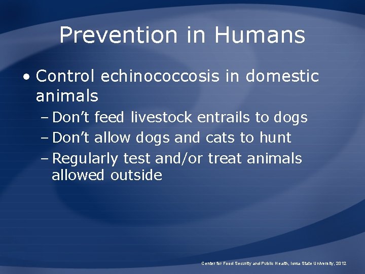 Prevention in Humans • Control echinococcosis in domestic animals – Don’t feed livestock entrails