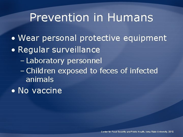 Prevention in Humans • Wear personal protective equipment • Regular surveillance – Laboratory personnel