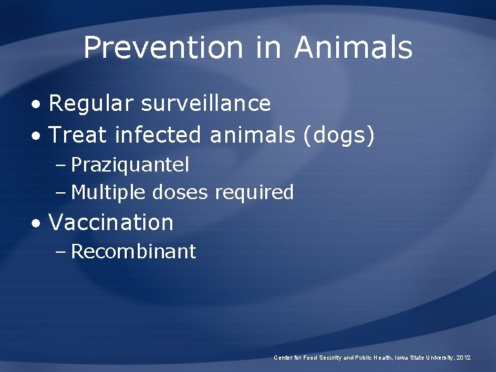 Prevention in Animals • Regular surveillance • Treat infected animals (dogs) – Praziquantel –