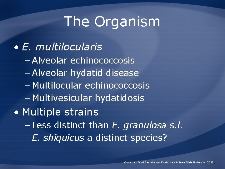 The Organism • E. multilocularis – Alveolar echinococcosis – Alveolar hydatid disease – Multilocular