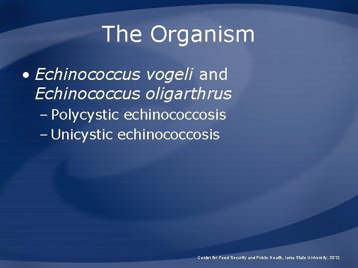 The Organism • Echinococcus vogeli and Echinococcus oligarthrus – Polycystic echinococcosis – Unicystic echinococcosis