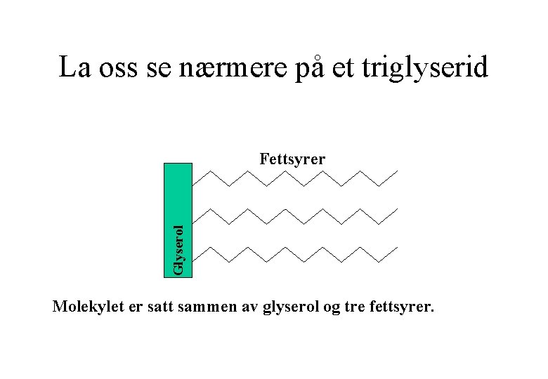 La oss se nærmere på et triglyserid Glyserol Fettsyrer Molekylet er satt sammen av