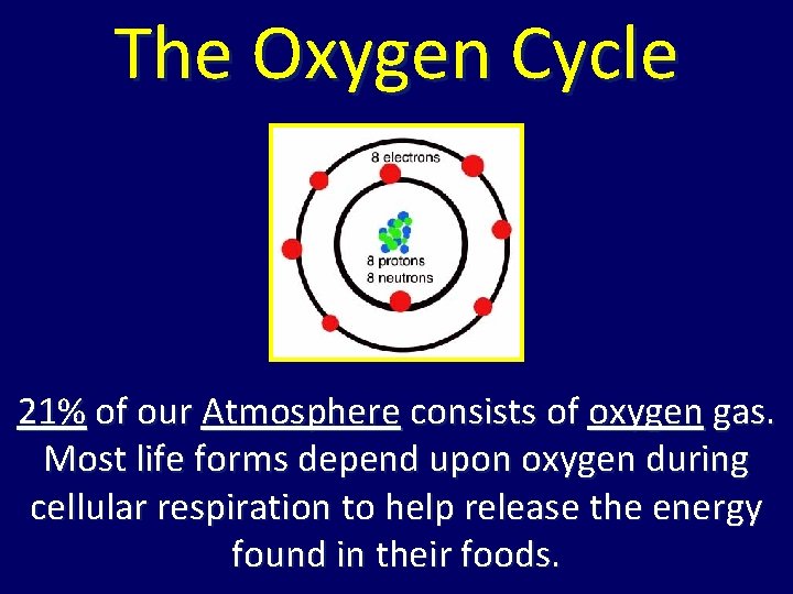 The Oxygen Cycle 21% of our Atmosphere consists of oxygen gas. Most life forms The Oxygen Cycle 21% of our Atmosphere consists of oxygen gas. Most life forms