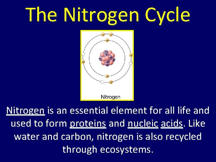 The Nitrogen Cycle Nitrogen is an essential element for all life and used to The Nitrogen Cycle Nitrogen is an essential element for all life and used to