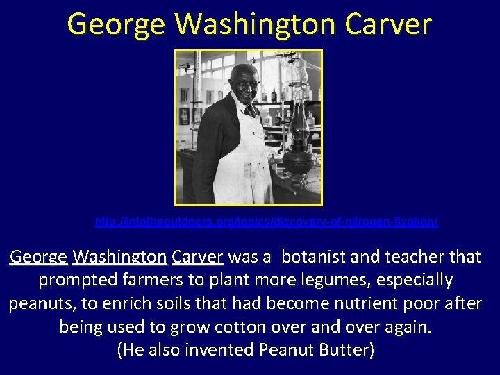 George Washington Carver http: //intotheoutdoors. org/topics/discovery-of-nitrogen-fixation/ George Washington Carver was a botanist and teacher George Washington Carver http: //intotheoutdoors. org/topics/discovery-of-nitrogen-fixation/ George Washington Carver was a botanist and teacher