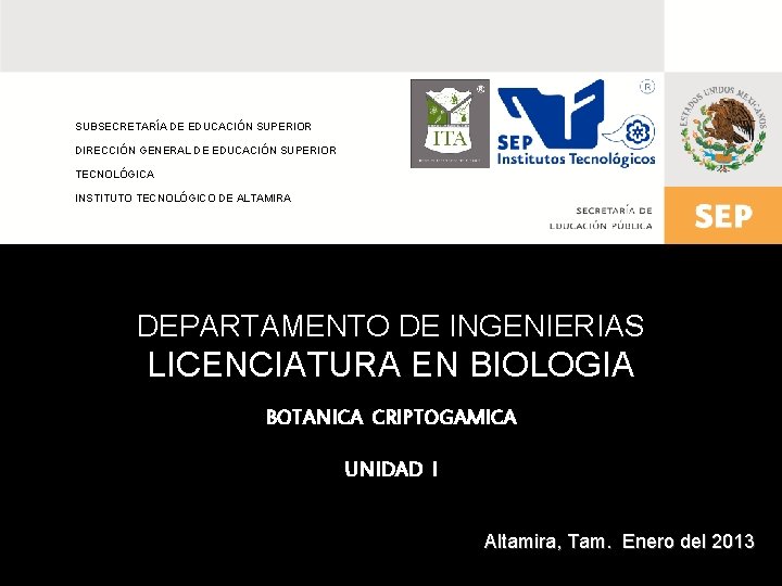 SUBSECRETARÍA DE EDUCACIÓN SUPERIOR DIRECCIÓN GENERAL DE EDUCACIÓN SUPERIOR TECNOLÓGICA INSTITUTO TECNOLÓGICO DE ALTAMIRA