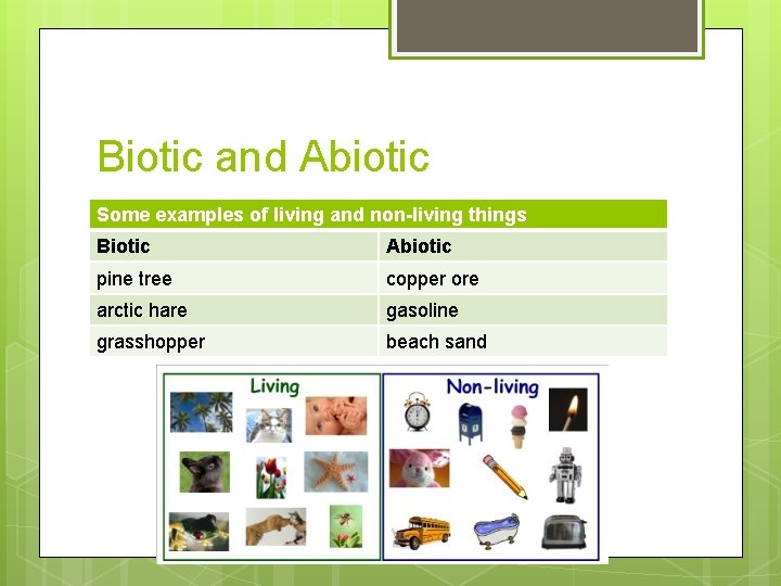 Biotic and Abiotic Some examples of living and non-living things Biotic Abiotic pine tree Biotic and Abiotic Some examples of living and non-living things Biotic Abiotic pine tree