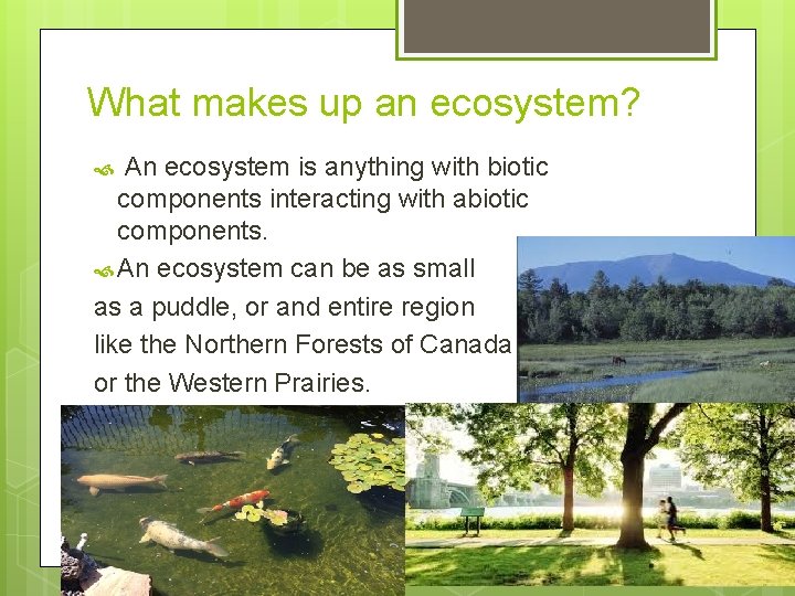 What makes up an ecosystem? An ecosystem is anything with biotic components interacting with What makes up an ecosystem? An ecosystem is anything with biotic components interacting with