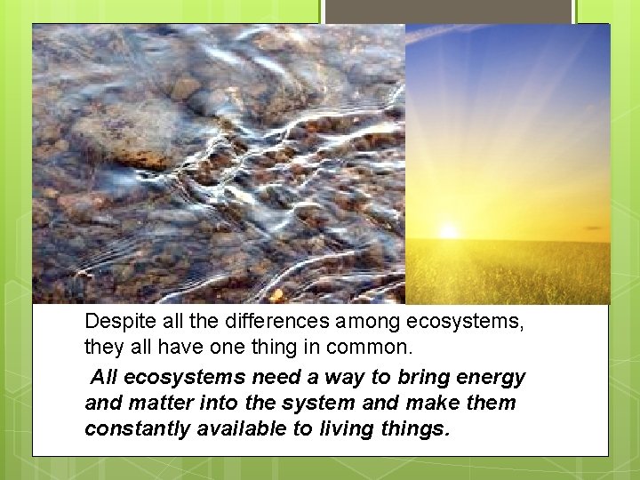 Despite all the differences among ecosystems, they all have one thing in common. All Despite all the differences among ecosystems, they all have one thing in common. All