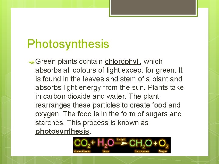 Photosynthesis Green plants contain chlorophyll, which absorbs all colours of light except for green. Photosynthesis Green plants contain chlorophyll, which absorbs all colours of light except for green.