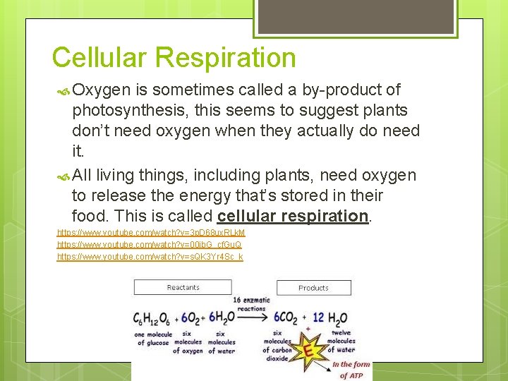 Cellular Respiration Oxygen is sometimes called a by-product of photosynthesis, this seems to suggest Cellular Respiration Oxygen is sometimes called a by-product of photosynthesis, this seems to suggest