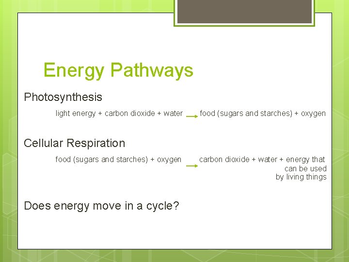 Energy Pathways Photosynthesis light energy + carbon dioxide + water food (sugars and starches) Energy Pathways Photosynthesis light energy + carbon dioxide + water food (sugars and starches)