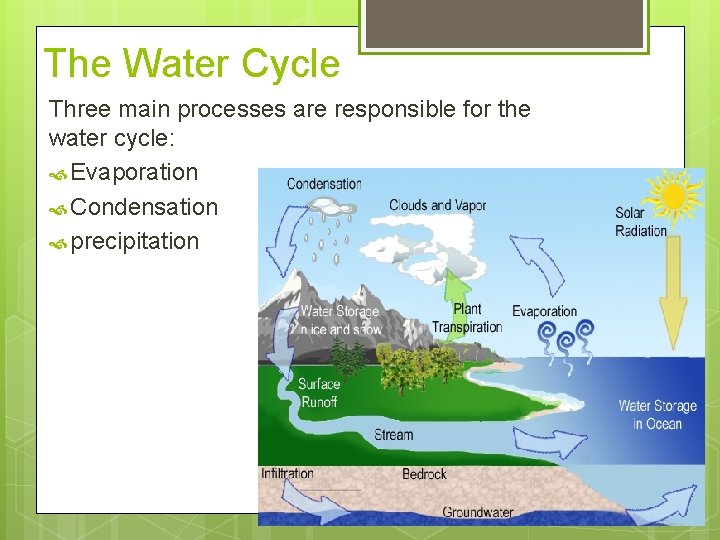 The Water Cycle Three main processes are responsible for the water cycle: Evaporation Condensation The Water Cycle Three main processes are responsible for the water cycle: Evaporation Condensation