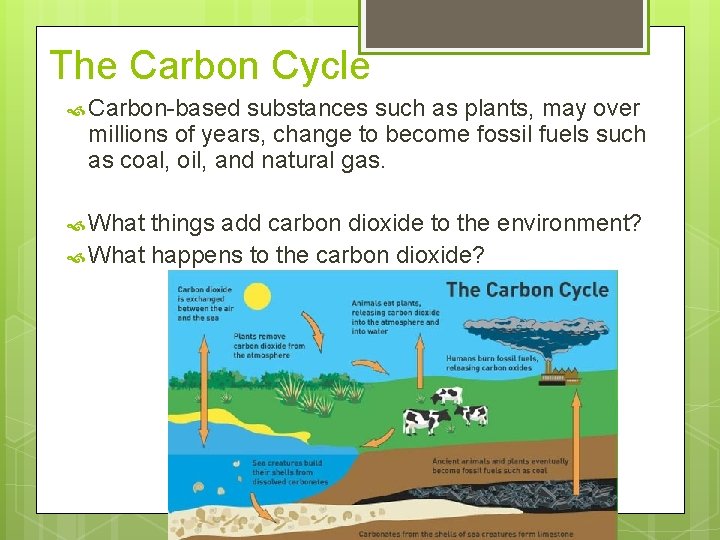 The Carbon Cycle Carbon-based substances such as plants, may over millions of years, change The Carbon Cycle Carbon-based substances such as plants, may over millions of years, change