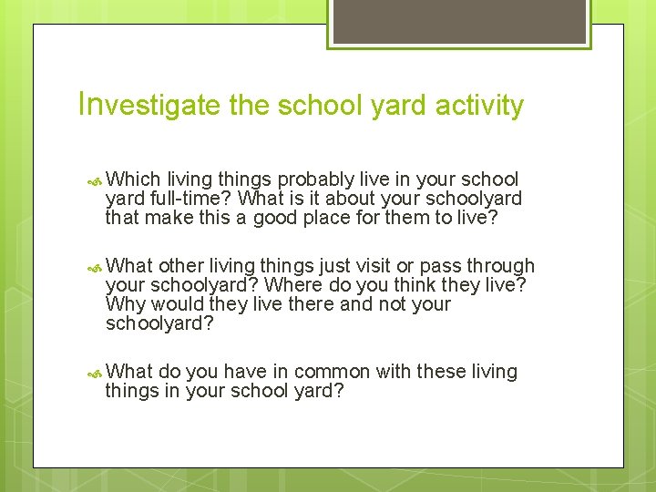 Investigate the school yard activity Which living things probably live in your school yard Investigate the school yard activity Which living things probably live in your school yard