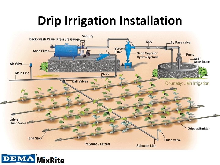 Drip Irrigation Installation 