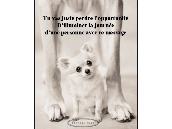 Tu vas juste perdre l’opportunité D’illuminer la journée d’une personne avec ce message. 