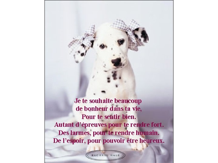 Je te souhaite beaucoup de bonheur dans ta vie, Pour te sentir bien. Autant Je te souhaite beaucoup de bonheur dans ta vie, Pour te sentir bien. Autant