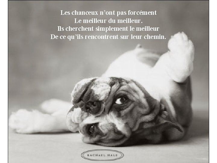 Les chanceux n’ont pas forcément Le meilleur du meilleur. Ils cherchent simplement le meilleur Les chanceux n’ont pas forcément Le meilleur du meilleur. Ils cherchent simplement le meilleur